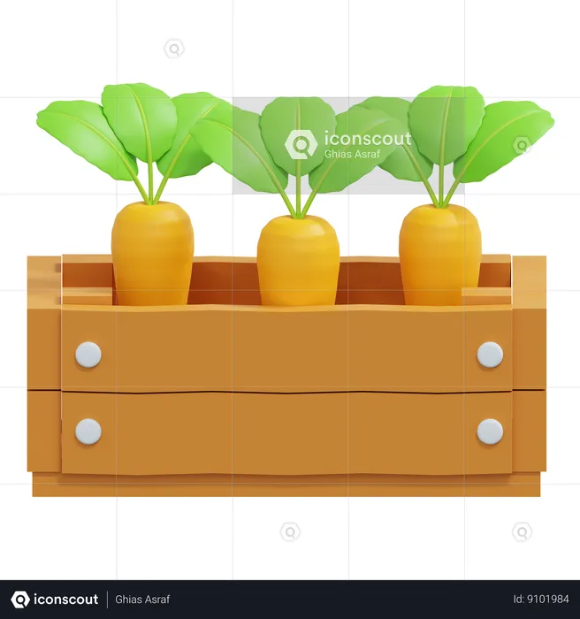 Carrot In Wood Box  3D Icon