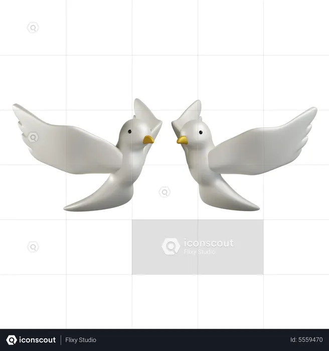 Casal pomba  3D Icon