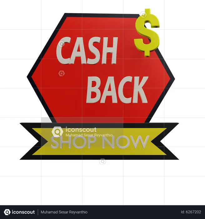 Cash Back  3D Icon