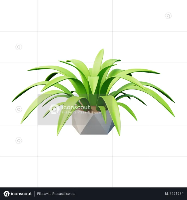 Cast Iron Plant  3D Icon