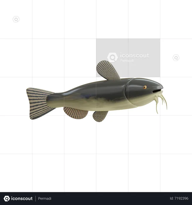 Catfish  3D Icon