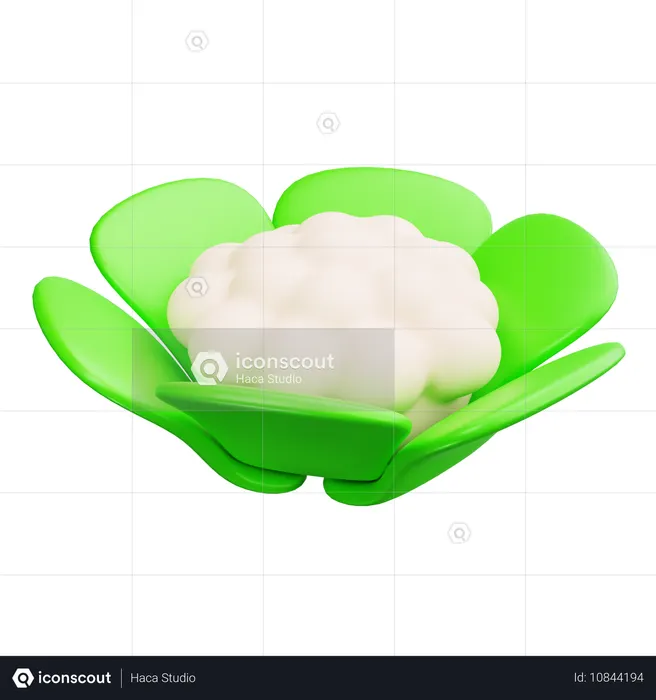 Cauliflower  3D Icon