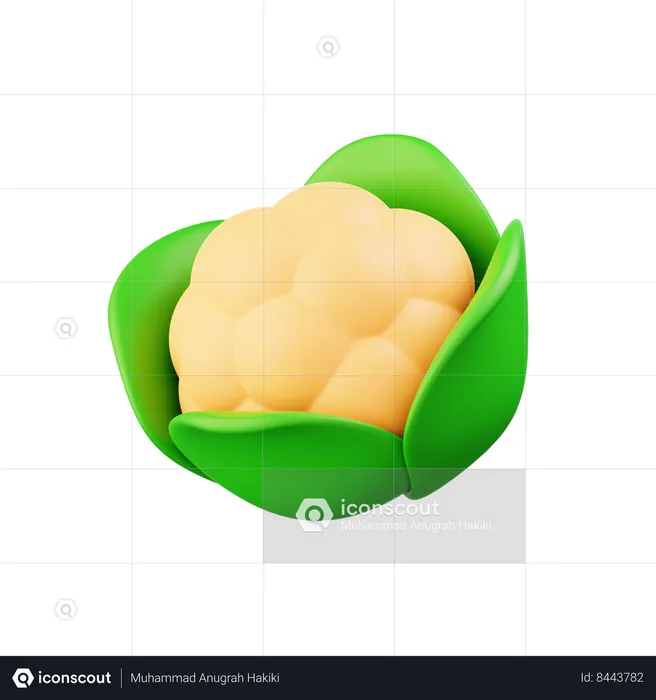 Cauliflower  3D Icon