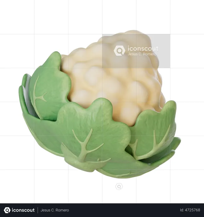 Cauliflower  3D Illustration