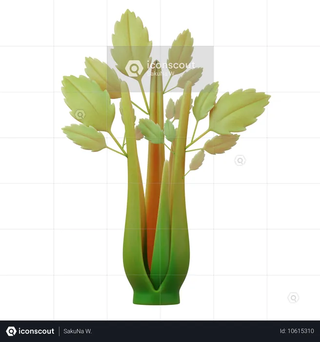 Celery  3D Icon