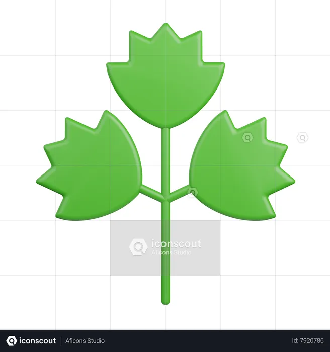 Celery  3D Icon