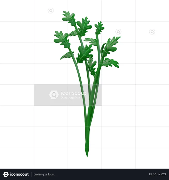 Celery  3D Icon