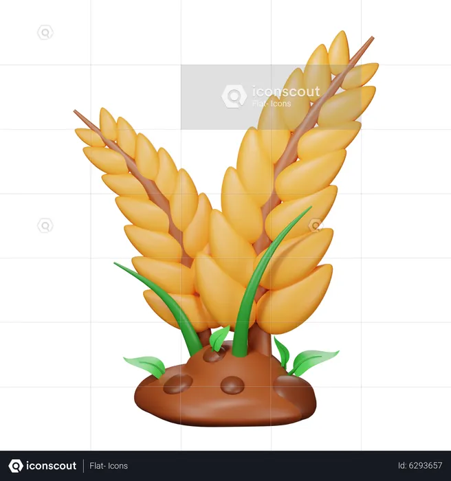 Cereal Crops  3D Icon