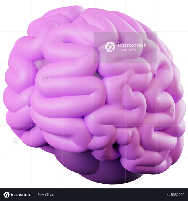 Cérebro  3D Icon