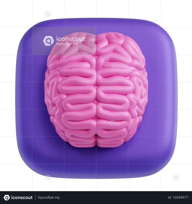 Cerebro  3D Icon