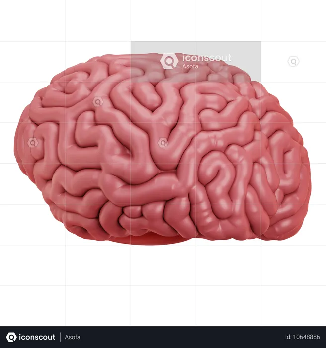 Cerebro  3D Icon