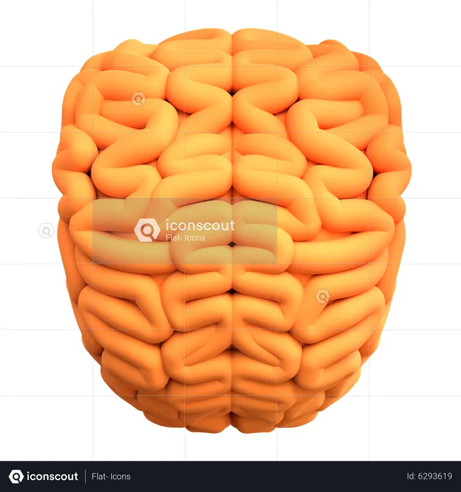 Cerebro  3D Icon