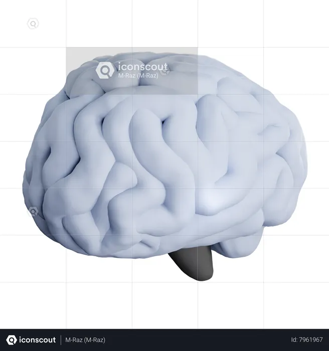 Cerebro  3D Icon