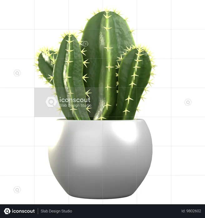 Cereus tetragonus  3D Icon