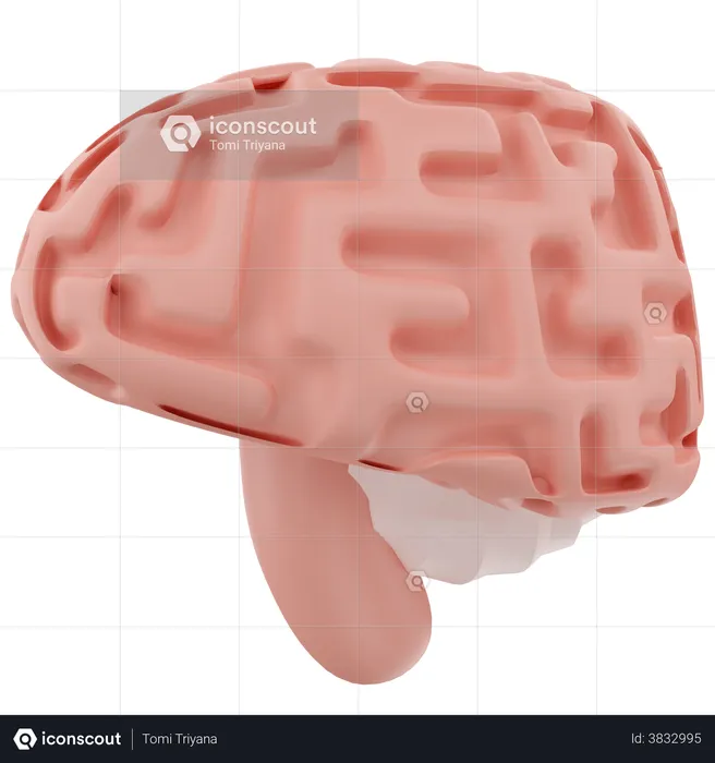 Cerveau  3D Icon