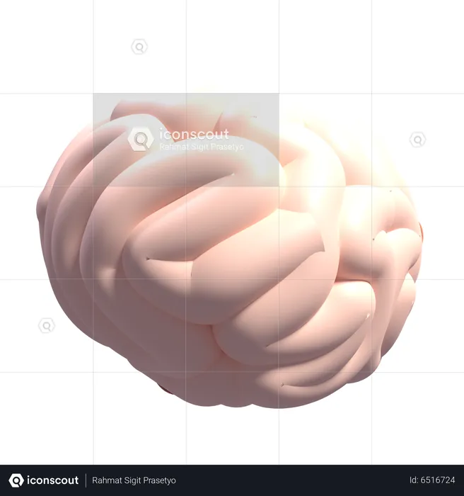 Cerveau  3D Icon