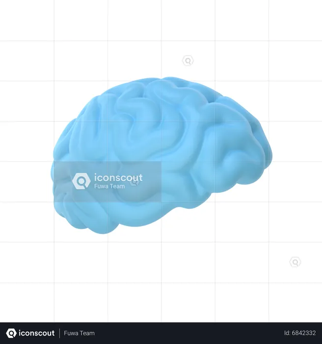 Cerveau  3D Icon