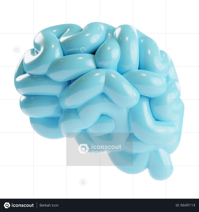 Cerveau humain  3D Icon