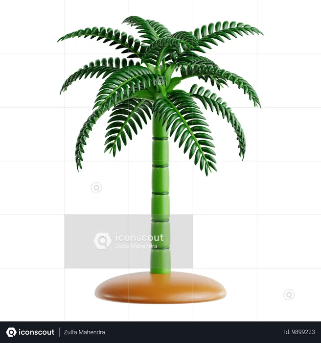 Chamaedorea Palm  3D Icon