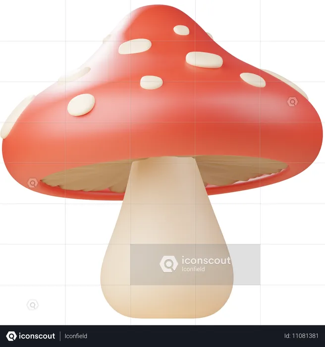 Champignon  3D Icon