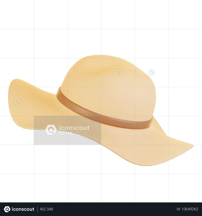 Chapeau de plage  3D Icon