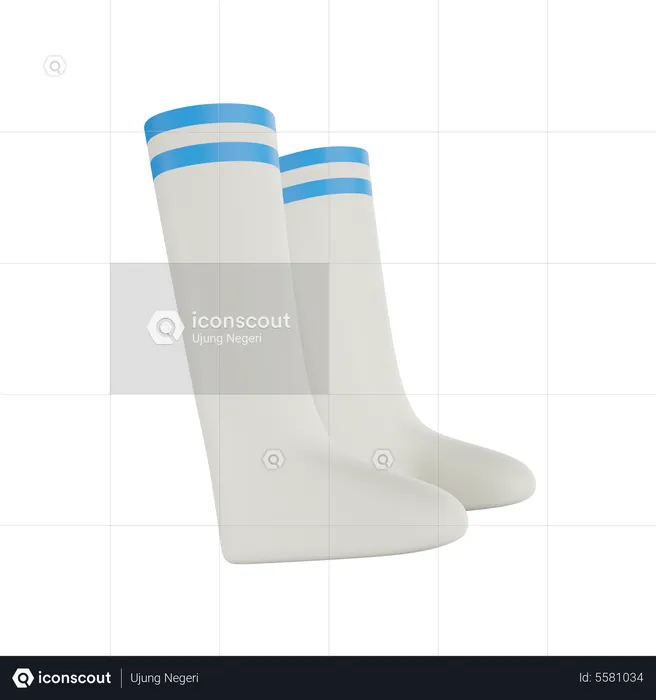 Chaussettes de football  3D Icon