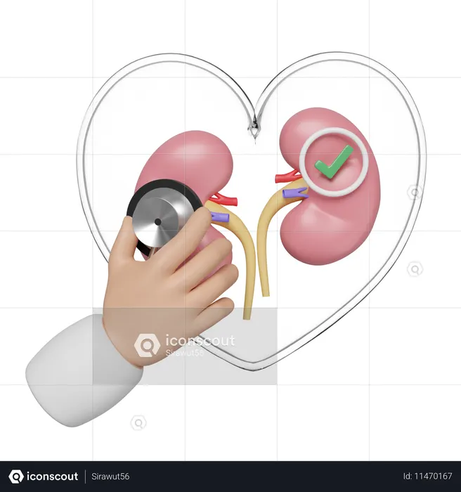 Check Kidney  3D Icon