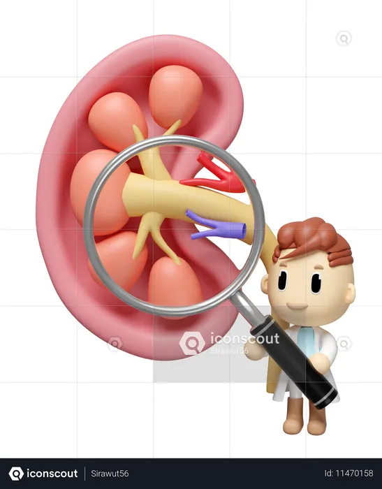 Check Kidney  3D Icon