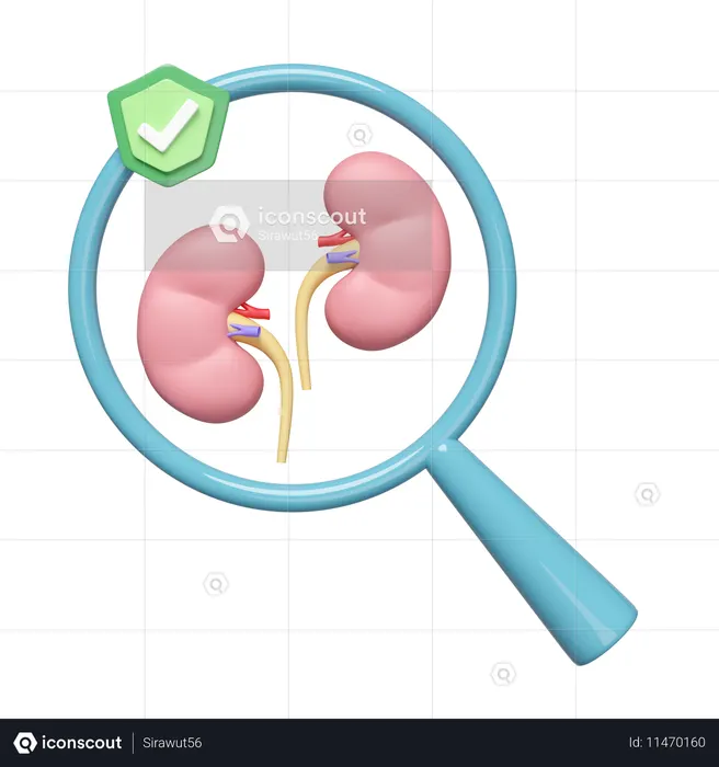 Check Kidney  3D Icon