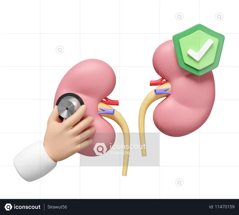 Check Kidney  3D Icon