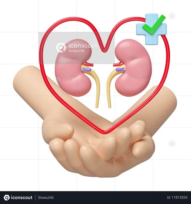 Check Kidney  3D Icon