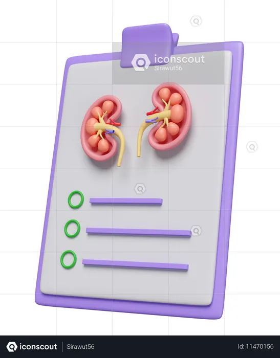 Check List For Kidney  3D Icon