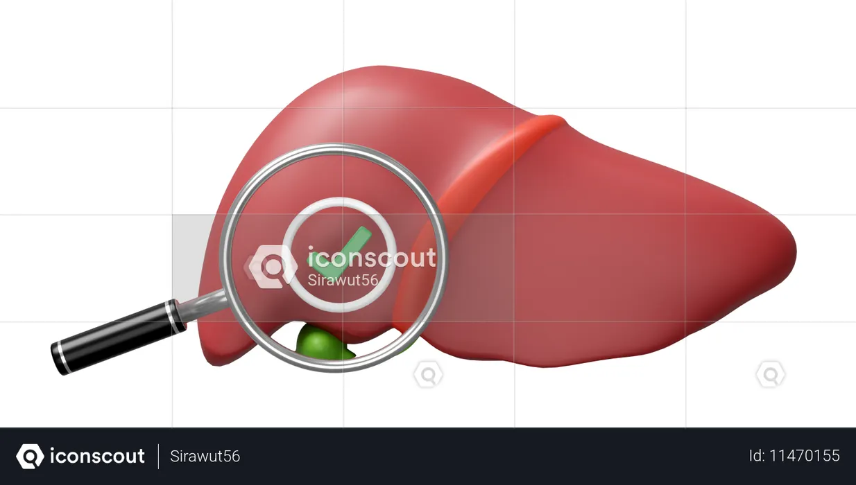 Check Liver  3D Icon