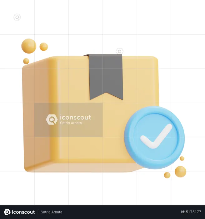 Check Package  3D Icon