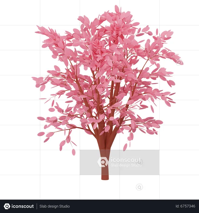 Cheery Blossom  3D Icon