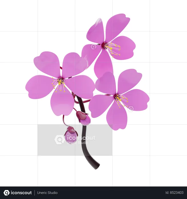 Cherry Blossom  3D Icon