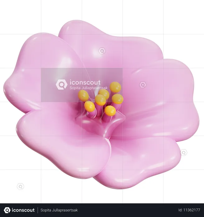 Cherry Blossom Flower  3D Icon