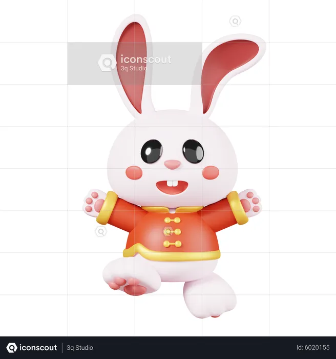 Chinesisches Kaninchen  3D Icon