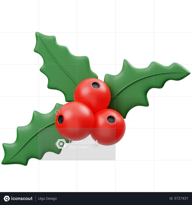 Christmas Wreath  3D Icon