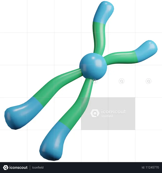 Chromosome  3D Icon