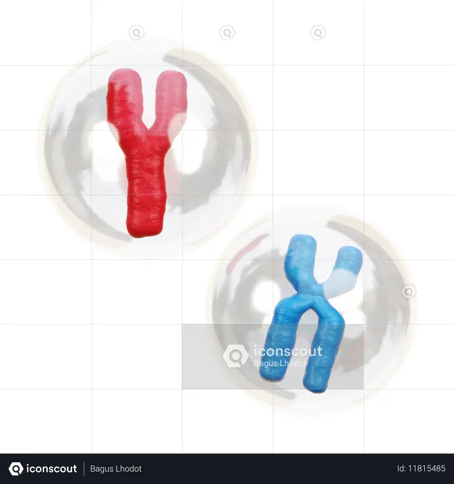 染色体  3D Icon