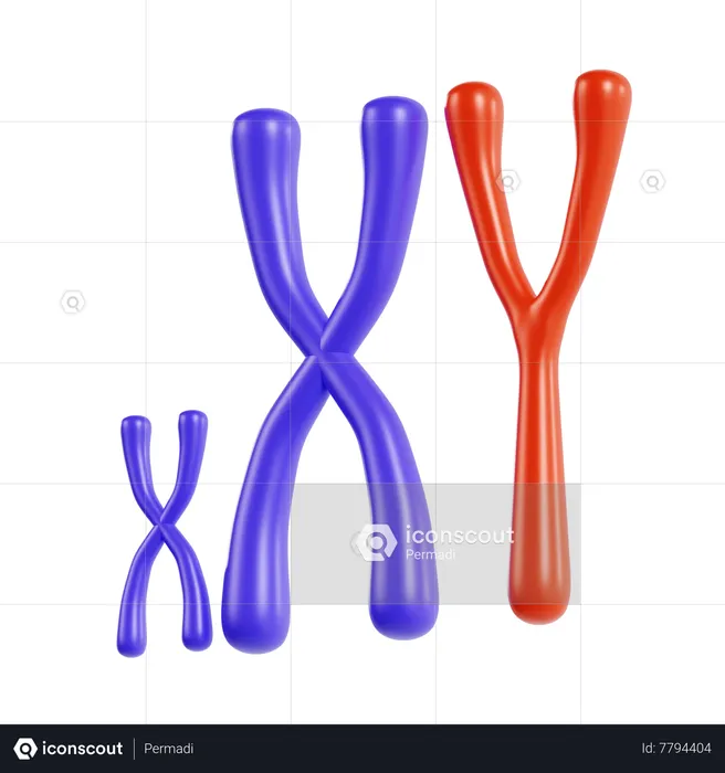 Chromosome  3D Icon