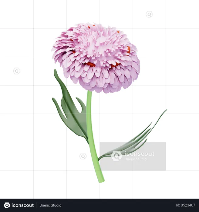 Chrysanthème  3D Icon