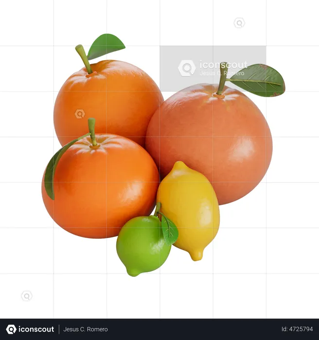 Citrus  3D Illustration