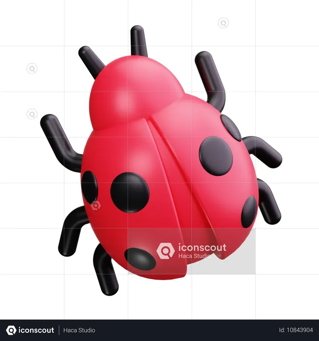 Coccinelle  3D Icon