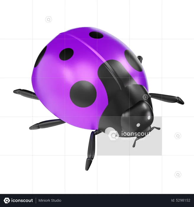 Coccinelle  3D Icon