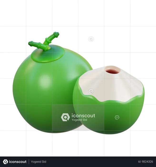 Coconut  3D Icon