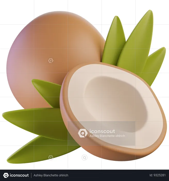 Coconut  3D Icon