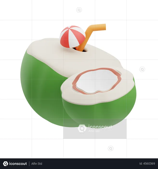 Coconut Drink  3D Illustration