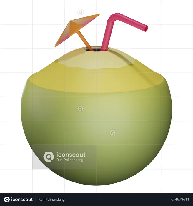 Coconut Drink  3D Illustration